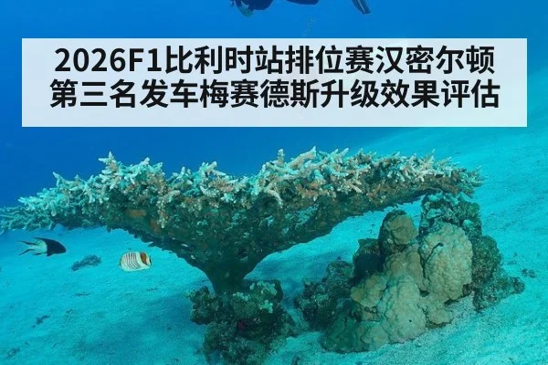 2026F1比利时站排位赛汉密尔顿第三名发车梅赛德斯升级效果评估