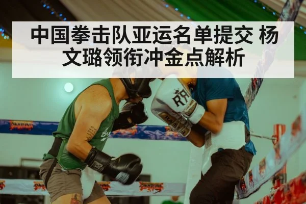 中国拳击队亚运名单提交 杨文璐领衔冲金点解析
